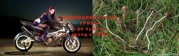 амфетамин Вяземский