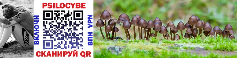 hydra tor  Меленки  Галлюциногенные грибы Psilocybine cubensis  магазин продажи наркотиков 